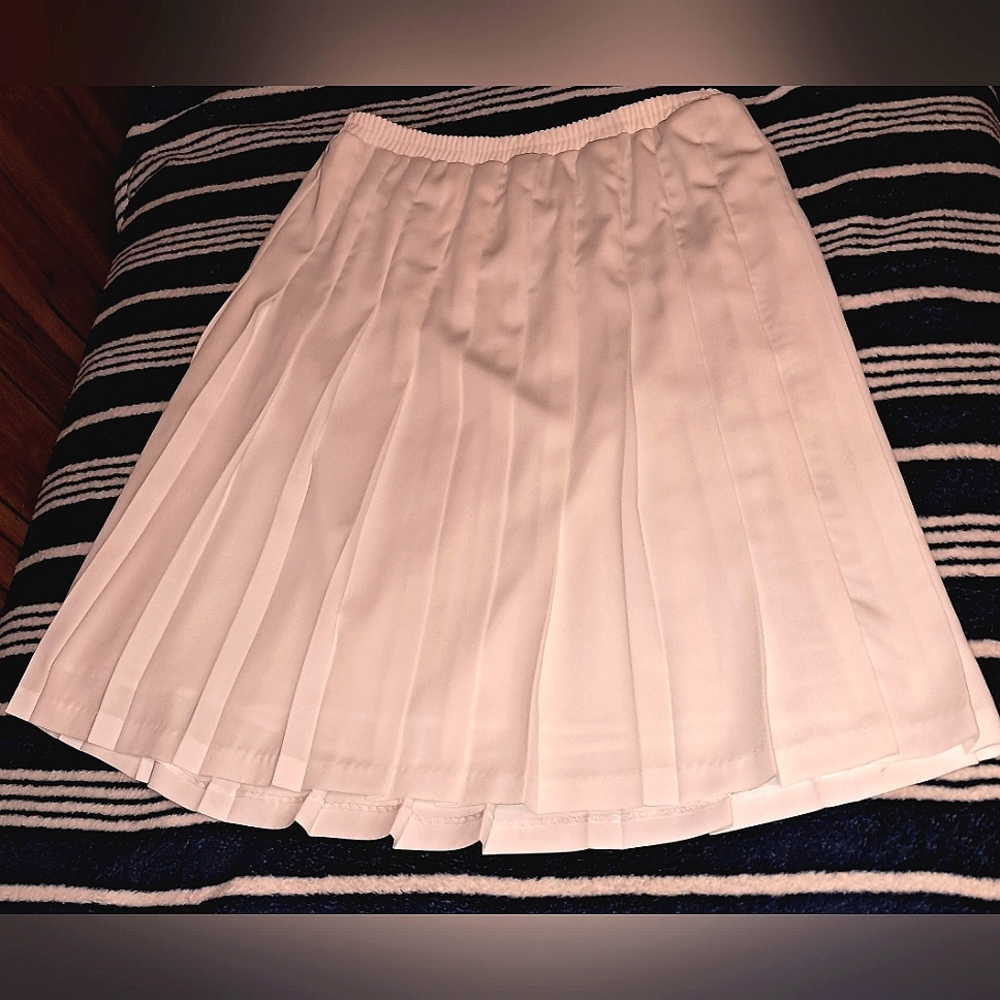 BROWNSTONE PLEATED SKIRT 1X EUC - Picture 2 of 14